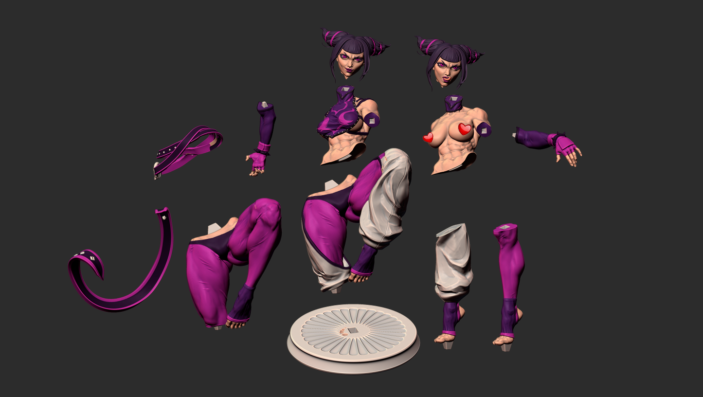 Juri Special Edition - Street Fighter - STL 3D Print Files - 3D Printed Garage Kit ガレージキット Resin Model Scale Figure フィギュア