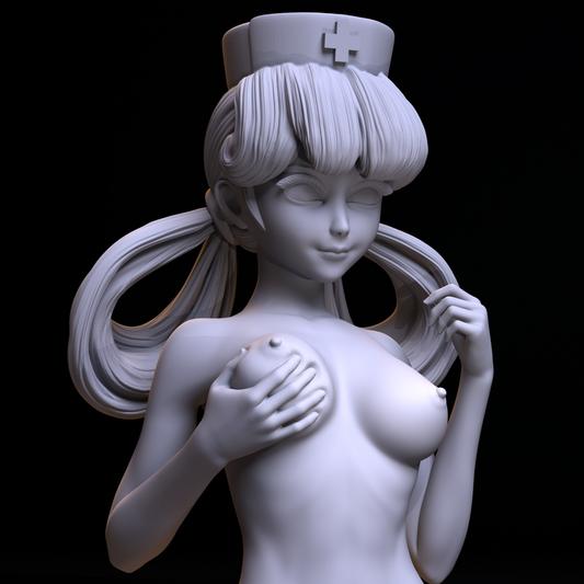 Nurse Joy Special Edition and Wigglytuff - Pokemon - STL 3D Print Files - 3D Printed Garage Kit ガレージキット Resin Model Scale Figure フィギュア