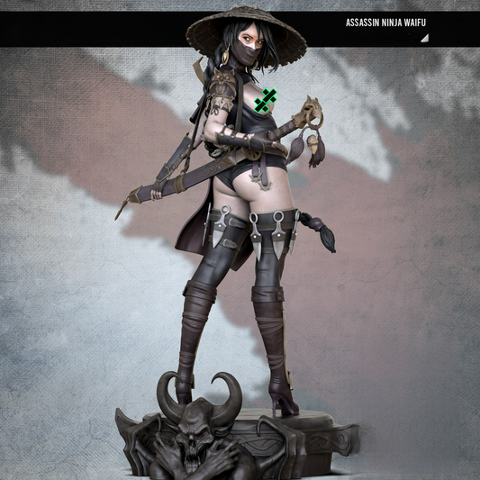 Assassin Ninja Special Edition 1/8 Scale