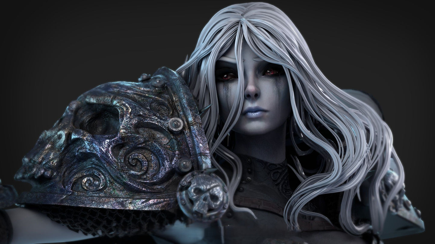 Female Death Knight Special Edition - World Of Warcraft - STL 3D Print Files - 3D Printed Garage Kit ガレージキット Resin Model Scale Figure フィギュア