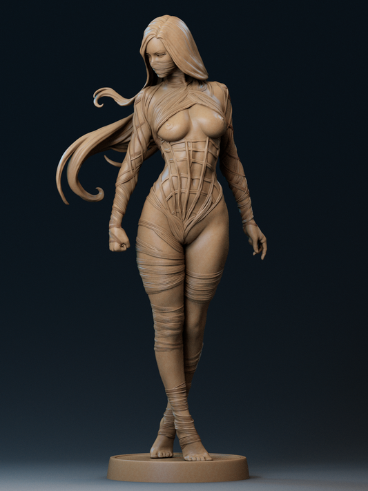 Silk Special Edition 1/8 Scale