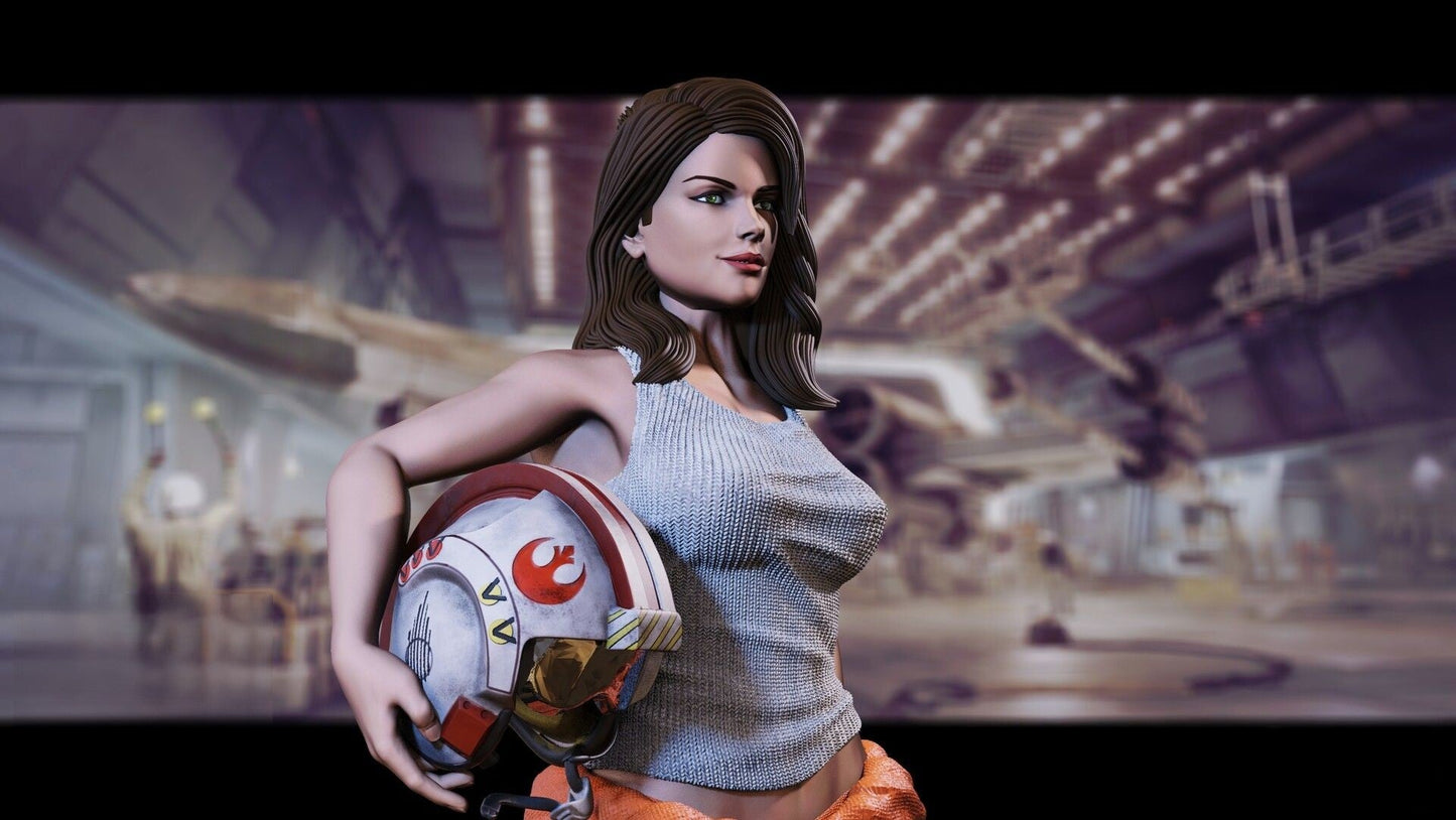 Rebel Pilot Special Edition - Star Wars - STL 3D Print Files - 3D Printed Garage Kit ガレージキット Resin Model Scale Figure フィギュア