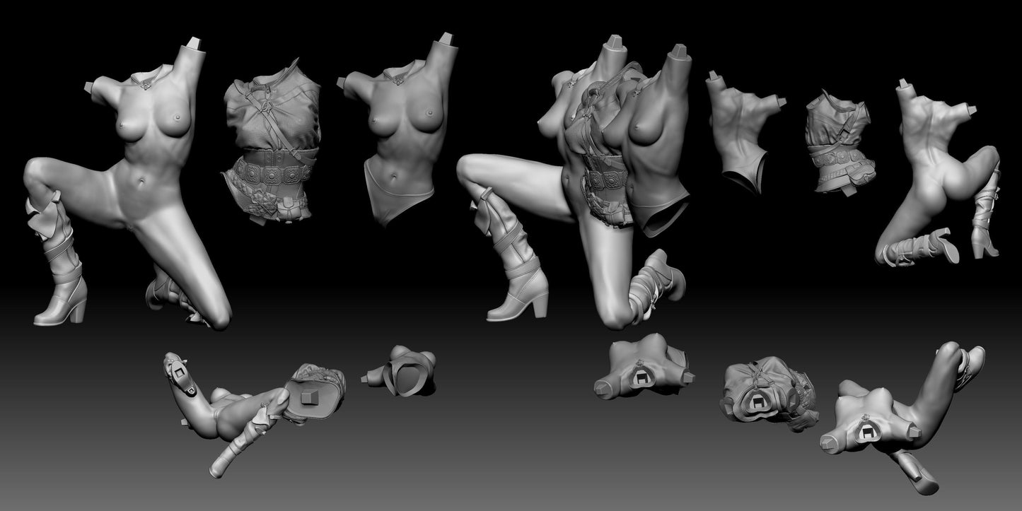 Ciri Special Edition - The Witcher - STL 3D Print Files - 3D Printed Garage Kit ガレージキット Resin Model Scale Figure フィギュア