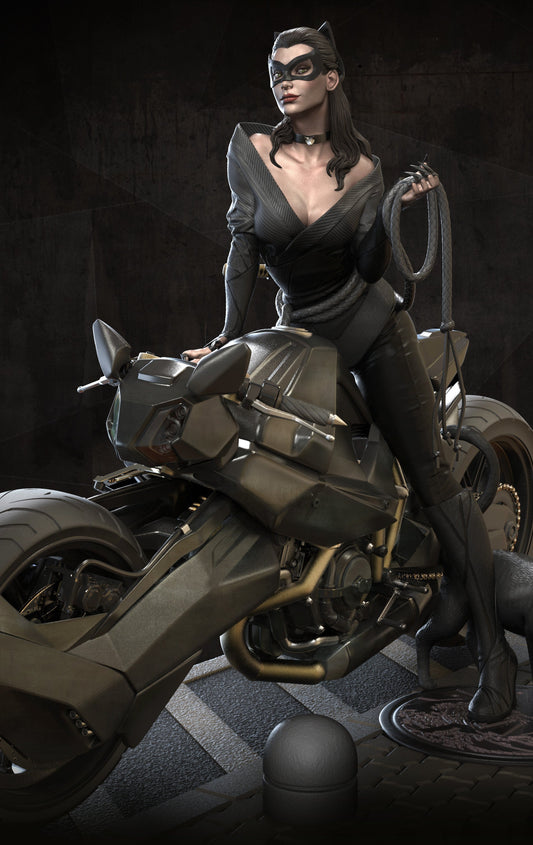 1375 Catwoman - DC Comics - STL 3D Print Files - 3D Printed Garage Kit ガレージキット Resin Model Scale Figure フィギュア