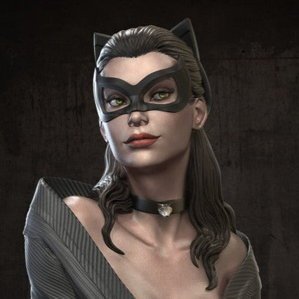 1375 Catwoman - DC Comics - STL 3D Print Files - 3D Printed Garage Kit ガレージキット Resin Model Scale Figure フィギュア
