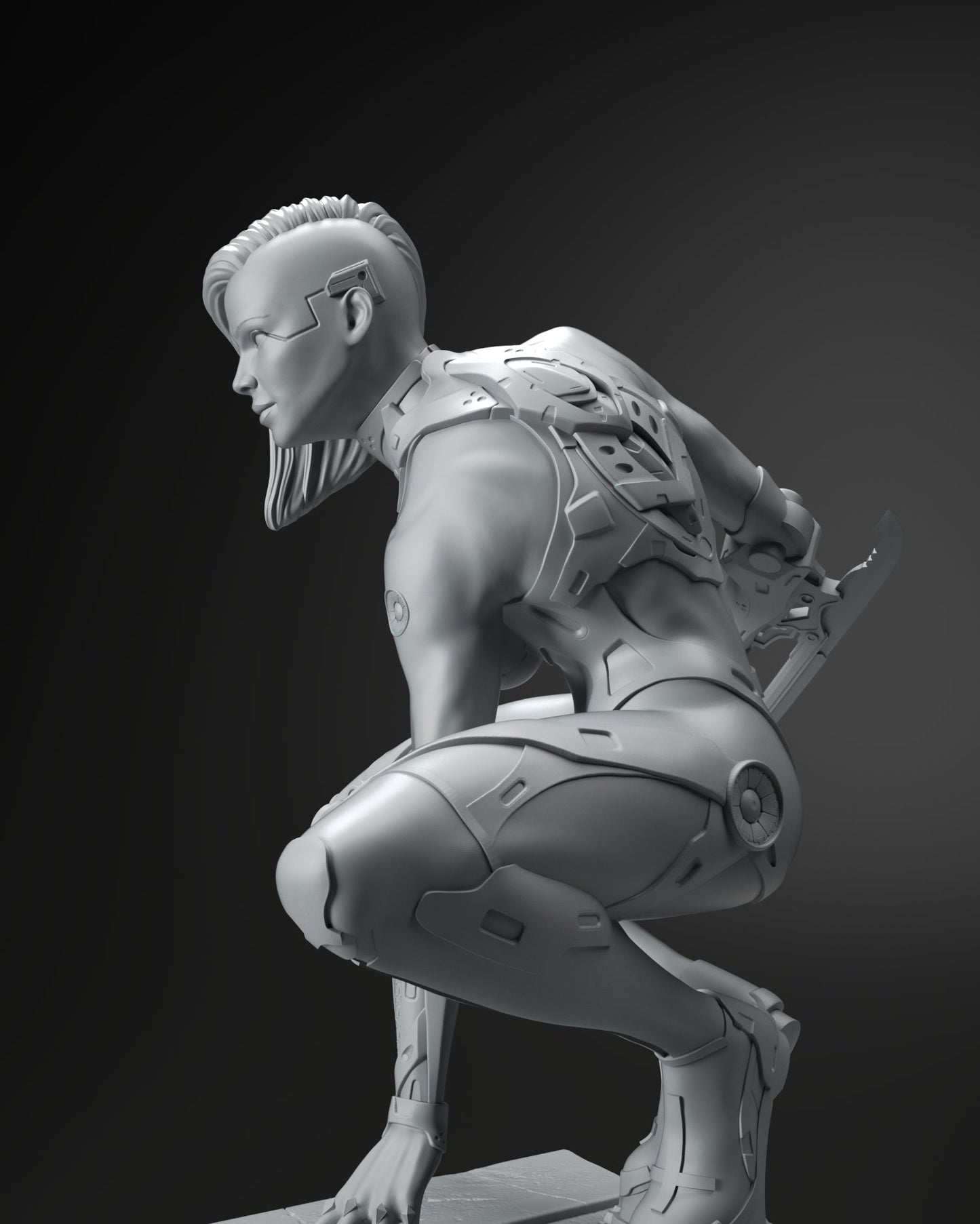 Cyber Girl Assassin Special Edition - STL 3D Print Files - 3D Printed Garage Kit ガレージキット Resin Model Scale Figure フィギュア