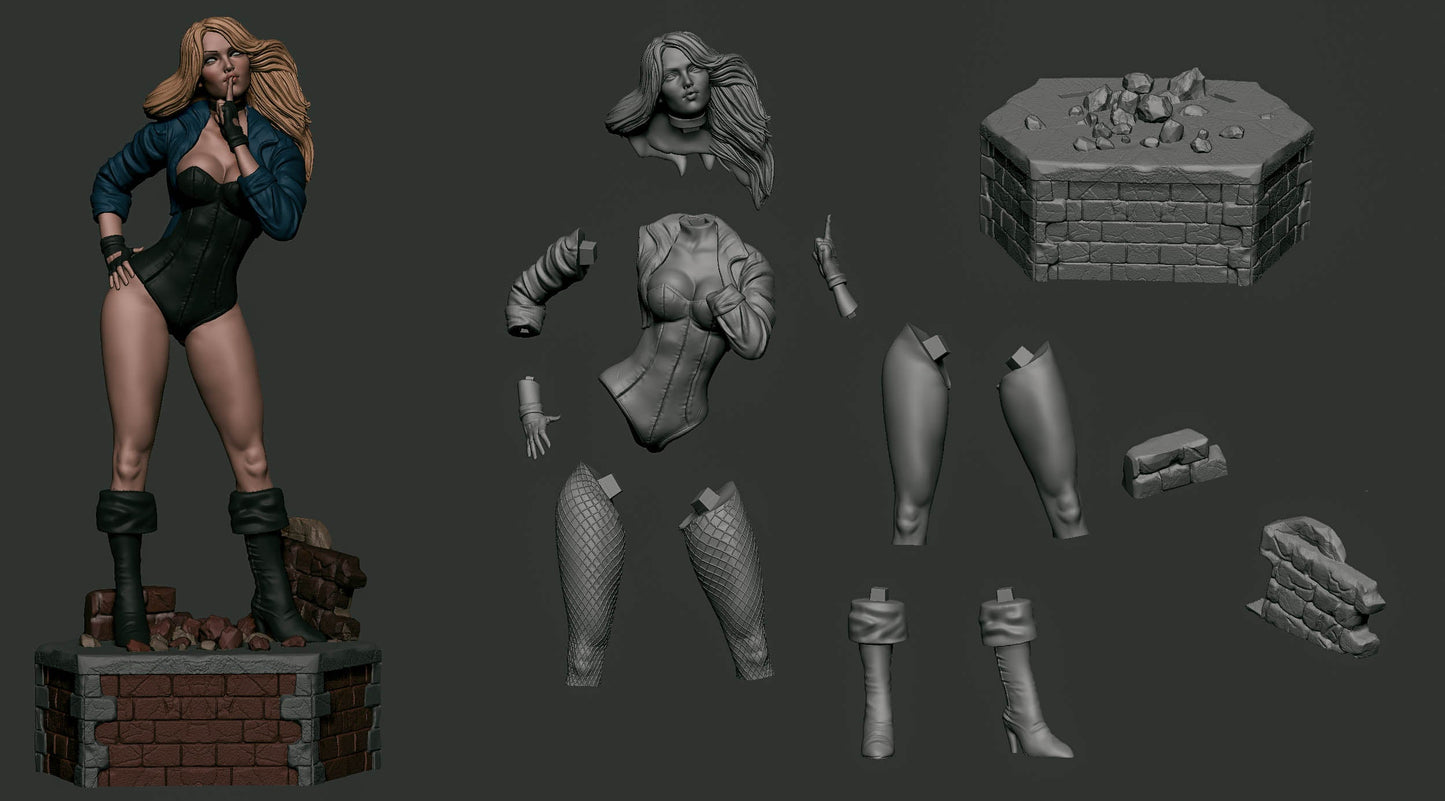 Black Canary 1/8 Scale