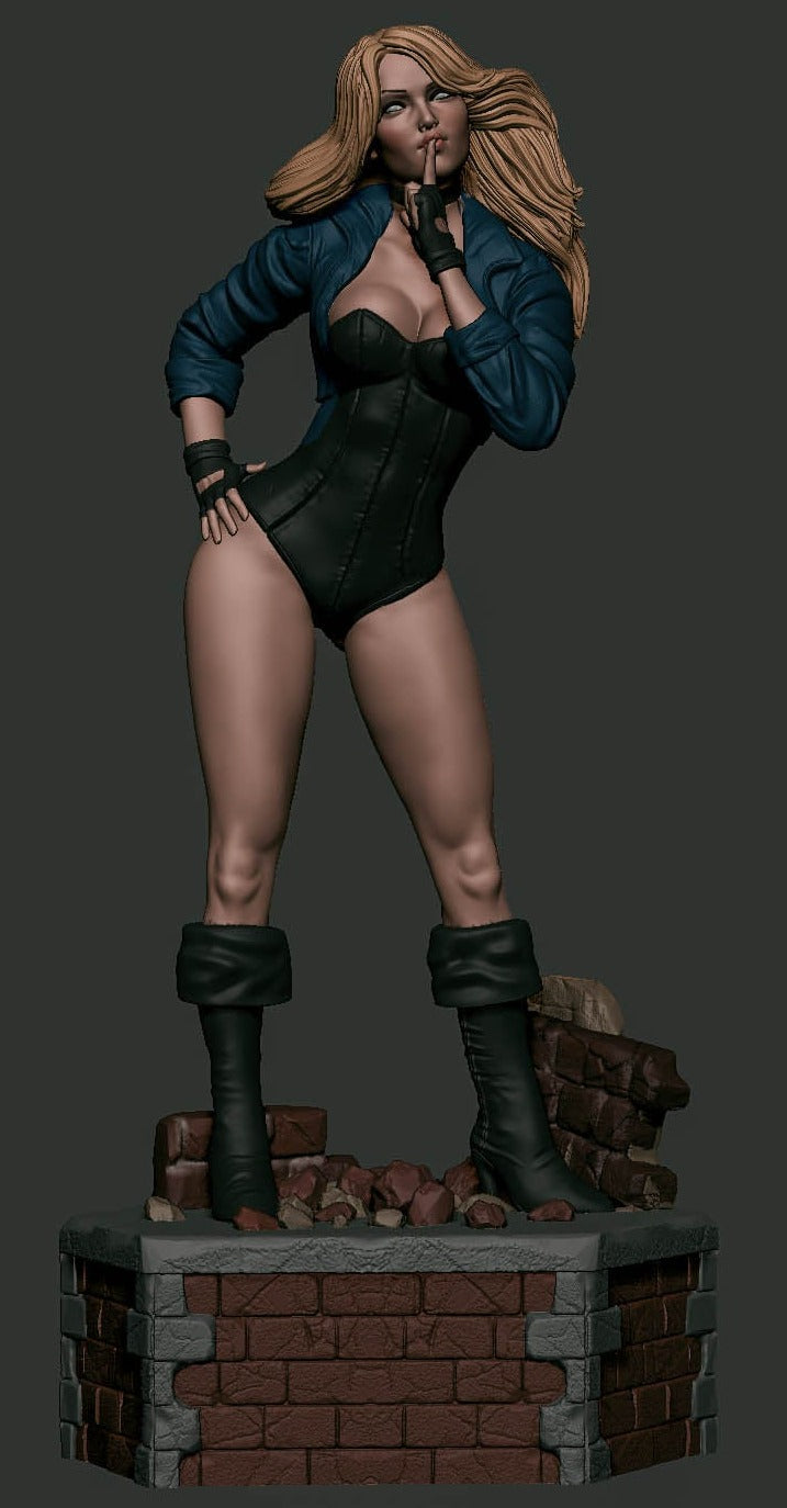 Black Canary 1/8 Scale