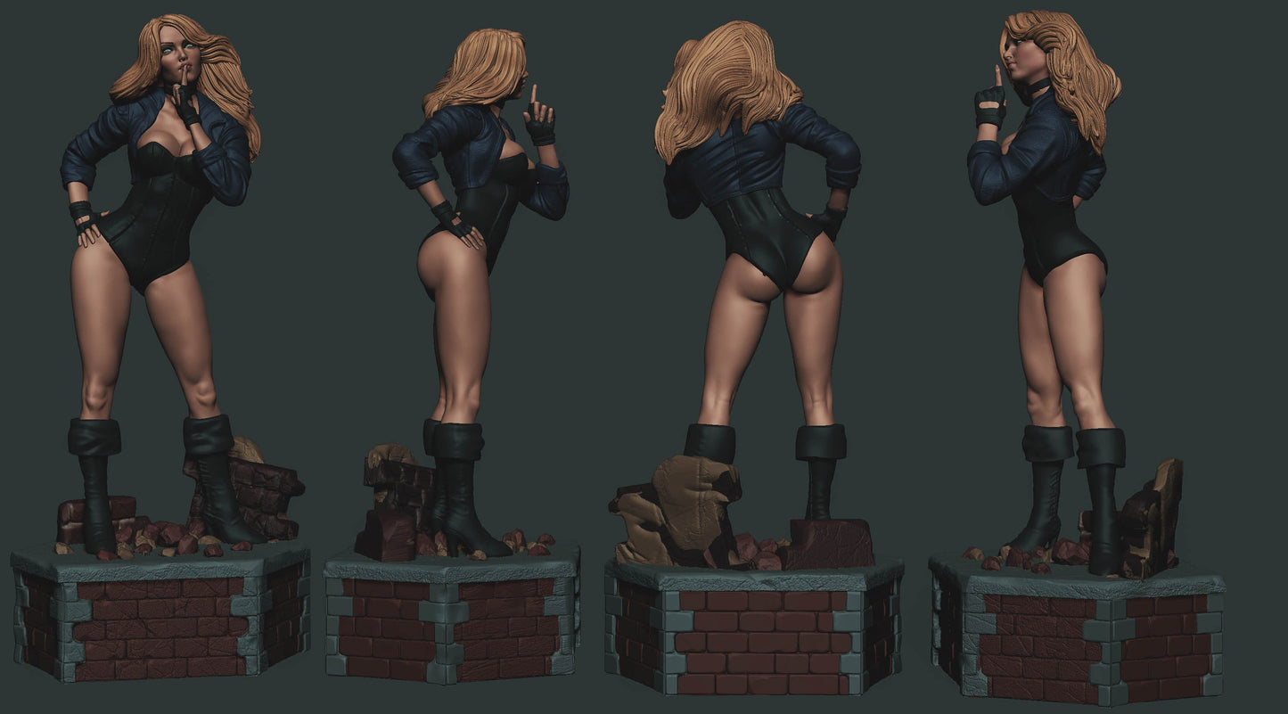 Black Canary 1/8 Scale