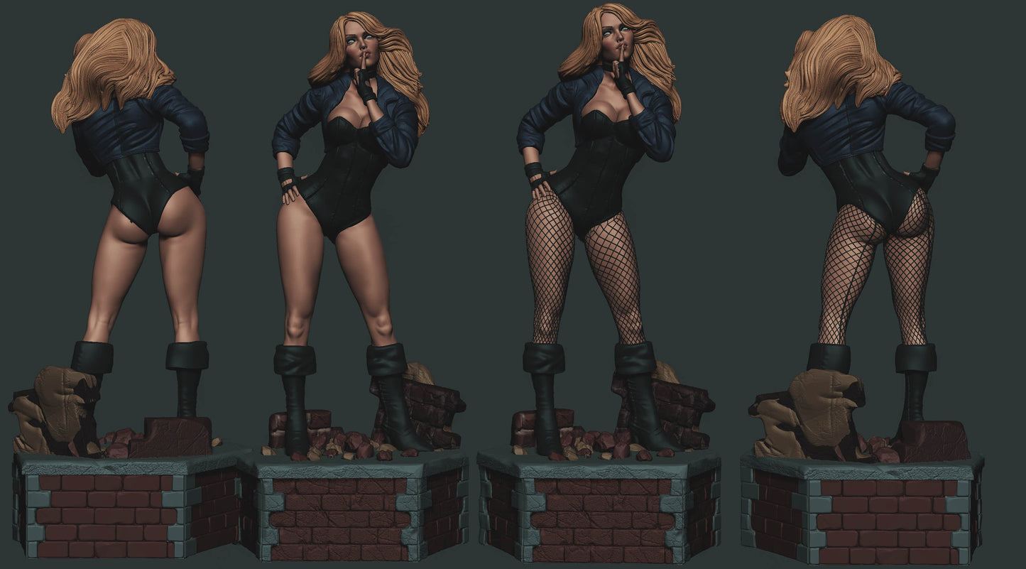 Black Canary 1/8 Scale